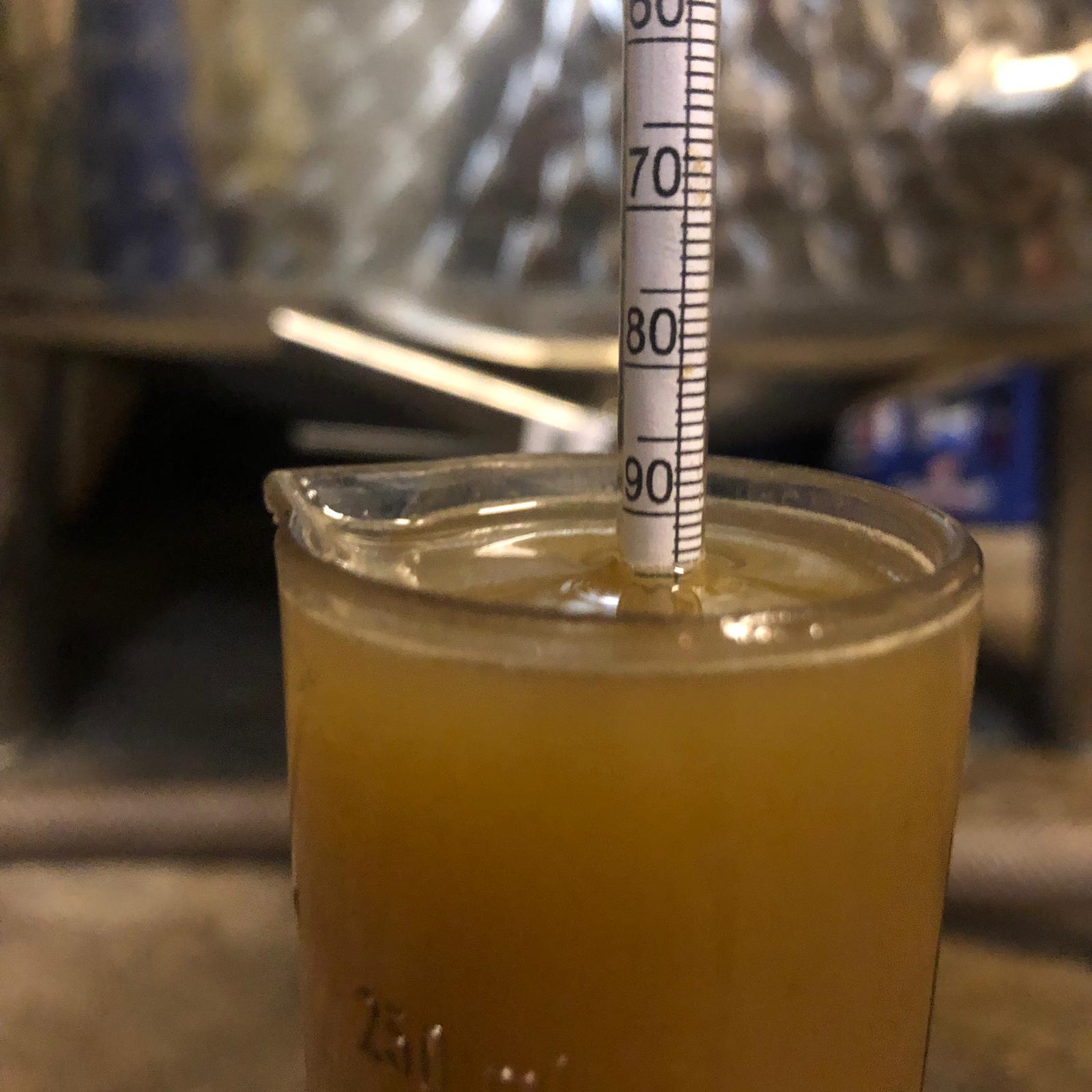 mosel riesling kaufen
