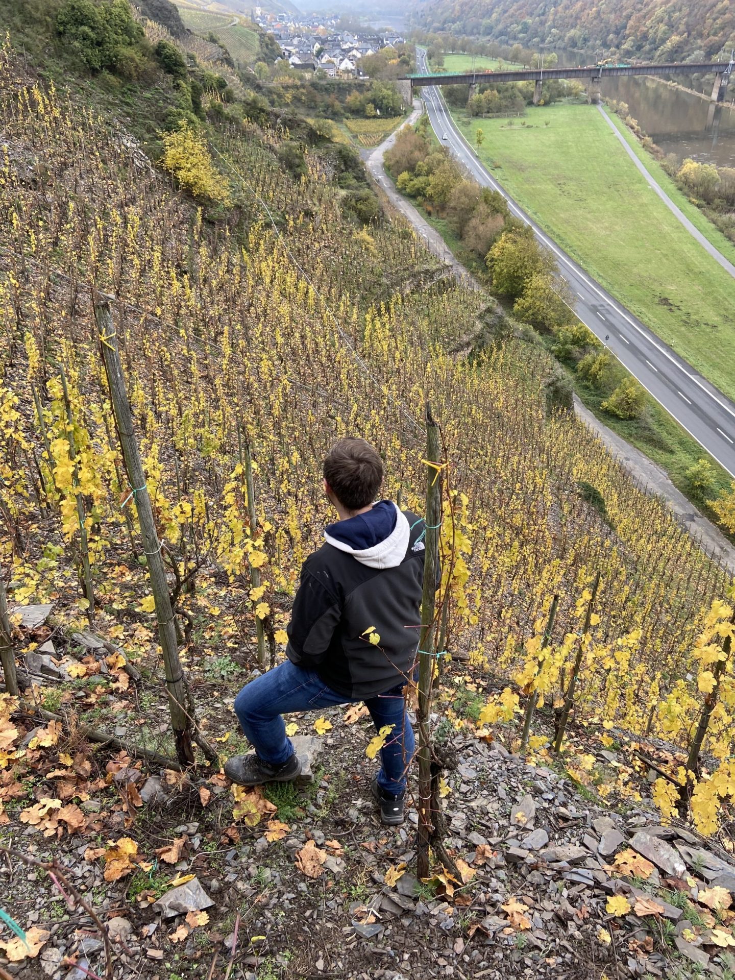 Calmont Wein Calmont Wein