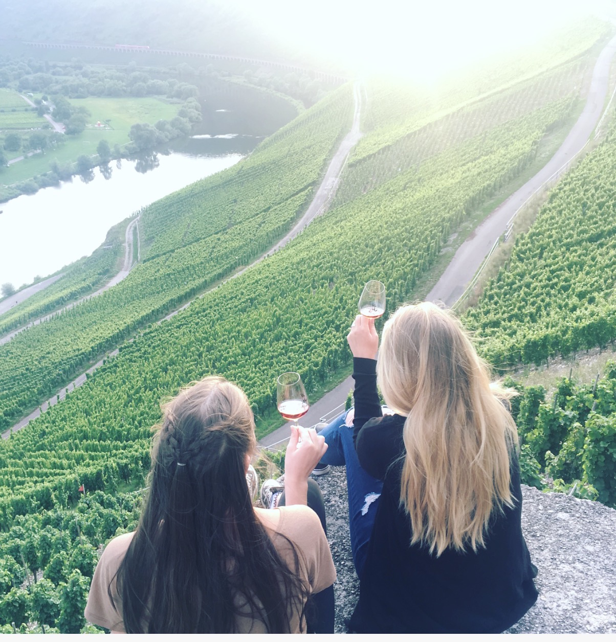 Mosel Aussichtspunkt - Blick bei Marienburg