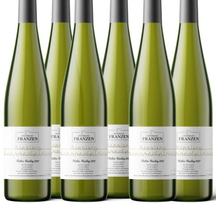 6 Flaschen Bremmer Calmont Flatline Riesling 2022