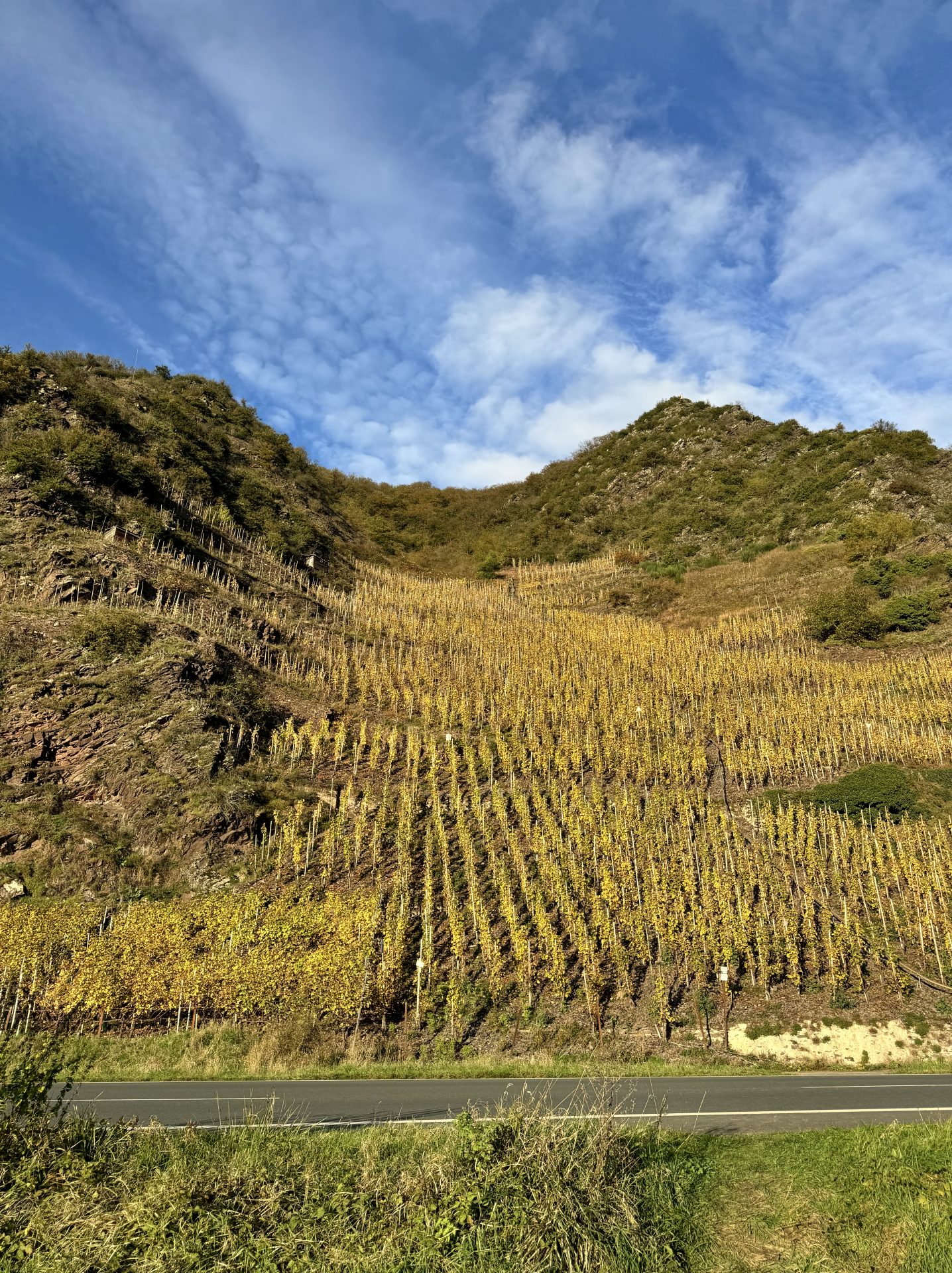 Riesling Steillage